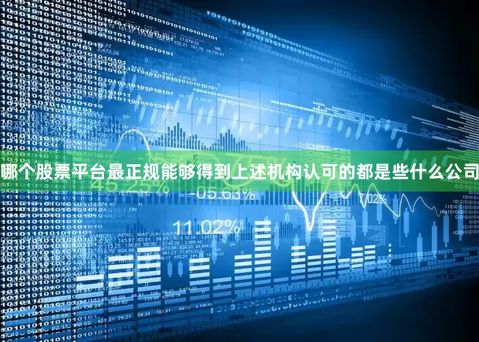 哪个股票平台最正规能够得到上述机构认可的都是些什么公司
