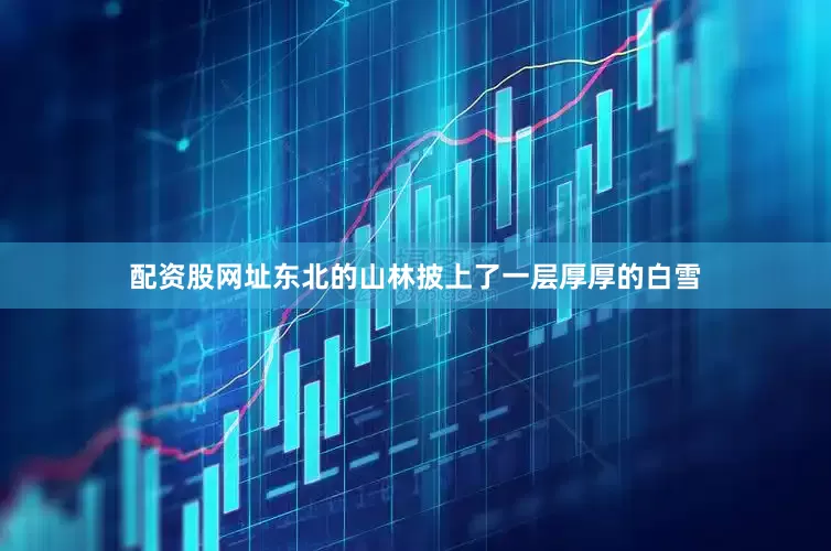 配资股网址东北的山林披上了一层厚厚的白雪