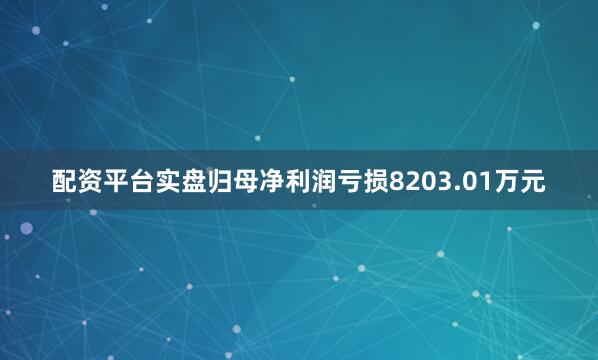配资平台实盘归母净利润亏损8203.01万元